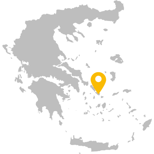 ΤΗΝΟΣ ΚΥΚΛΑΔΕΣ ΠΑΝΑΓΙΑ ΤΗΝΟΥ - GREY MAP